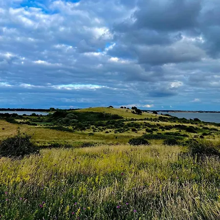 4 Person In Martofte-by Traum Holiday home Nordskov