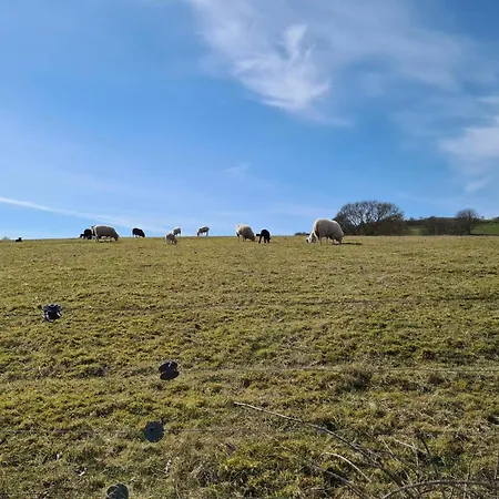 Holiday home 4 Person In Martofte-by Traum