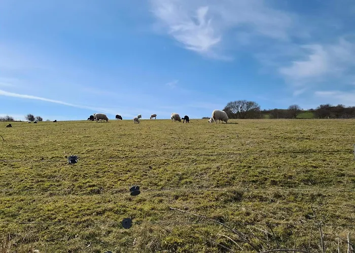 بيت للعطل 4 Person In Martofte-by Traum